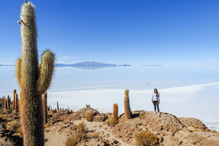 Uyuni: 3-Day Salt Flats Tour to San Pedro de Atacama ENGLISH-SPEAKING GUIDE