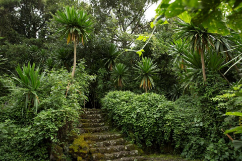 Natural Walking tour In Buhanga Eco Park