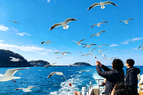 Osaka: Amanohashidate, Ine Cruise & Miyama Village From Osaka (Basic Package)