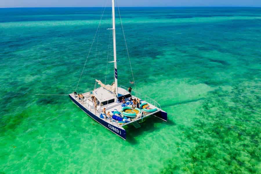 Key West: Katamaransegeln und Delphinbeobachtung am Nachmittag. Foto: GetYourGuide Key West: Katamaransegeln und Delphinbeobachtung am Nachmittag. Foto: GetYourGuide