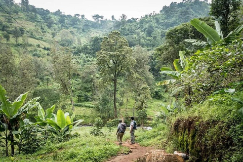 Moshi : Circuit des chutes d&#039;eau, du café et des sources thermales de Materuni