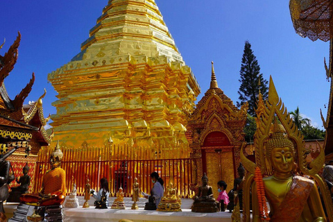 Visite du Doi Suthep et du temple Wat Pha Lat en soirée