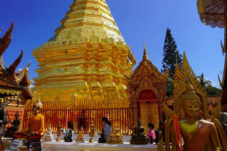 Visite du Doi Suthep et du temple Wat Pha Lat en soirée