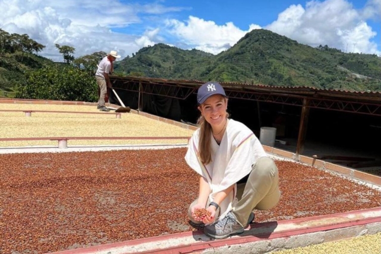 Tour du Café au Jardin Antioquia - Depuis Medellín