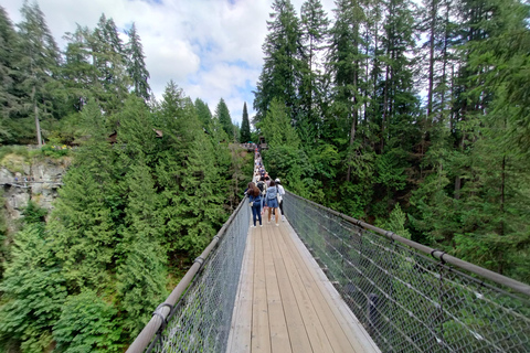 Ponte suspensa de Capilano/Tour particular de carro/Garantia de preço