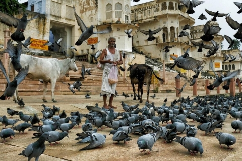 Visit Pushkar from Jaipur with Jodhpur drop without Guide