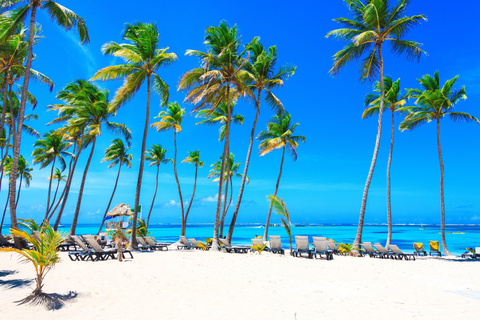 Punta Cana: Uvero Alto Private VIP Road Trip to Secrets Tide