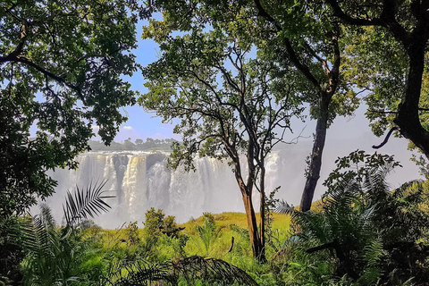 Tour guiado de las Cataratas