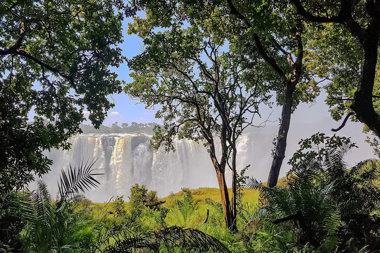 Tour guiado de las Cataratas