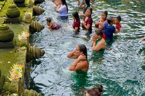 Ubud: Private Half-Day Tour Rice Terrace, Temple & Waterfall Private Half-Day Tour (With Entrance Tickets)