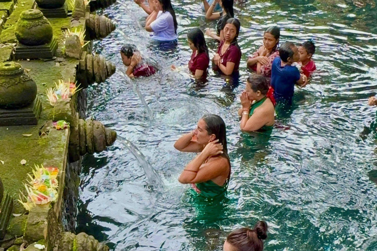 Ubud: Private Half-Day Tour Rice Terrace, Temple & Waterfall Private Half-Day Tour (With Entrance Tickets)