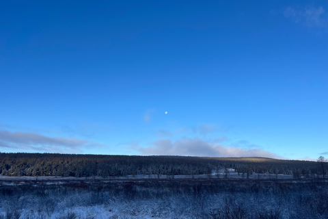 Sanzai: Selbe River Reservoir Hike with Lunch