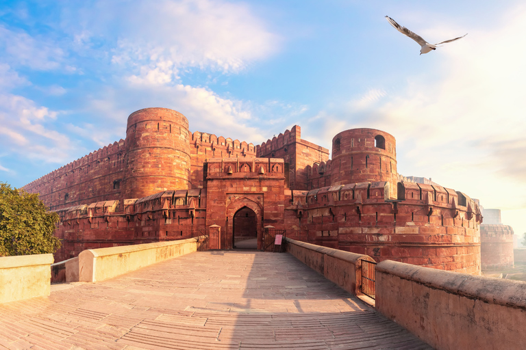 Excursion d'une journée depuis Delhi : Taj Mahal, Fort d'Agra et Baby TajCircuit en groupe partagé avec voiture, chauffeur et service de guide uniquement