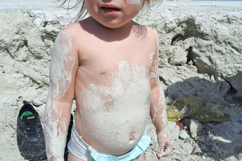 Río Lagartos: Flamingo Safari und Las Coloradas Tour