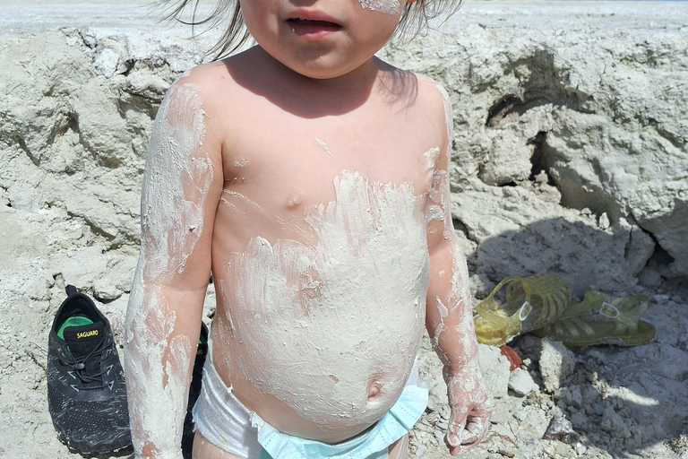 Río Lagartos: Flamingo Safari and Las Coloradas Tour