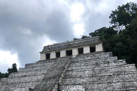 San Cristóbal: Tour privato di Misol Ha, Palenque e Agua AzulnTour privato