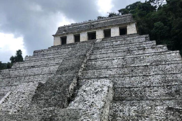 San Cristóbal: Tour privato di Misol Ha, Palenque e Agua AzulnTour privato