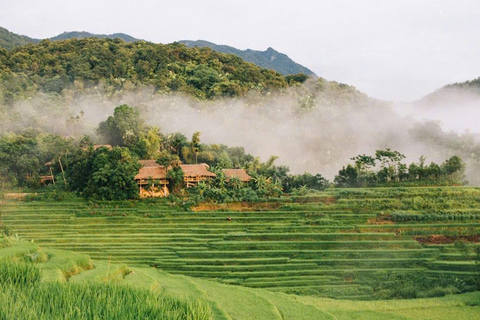 Hanoi: 3-Day Pu Luong, Ninh Binh Excursion & Guide, Homestay