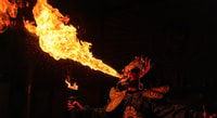 Halbtags-Tour durch Hotpot und Sichuan Opera - Housity