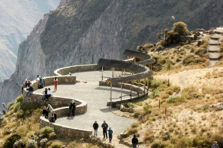 Excursión de un día al Cañón del Colca desde Arequipa Salida 8:00 am