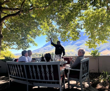 Cape Town: Cape Winelands Tour with Wine Tasting
