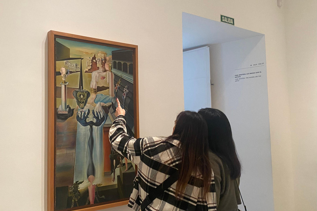 Madrid: Tour guiado pelo Museu Reina Sofía, em pequenos grupos