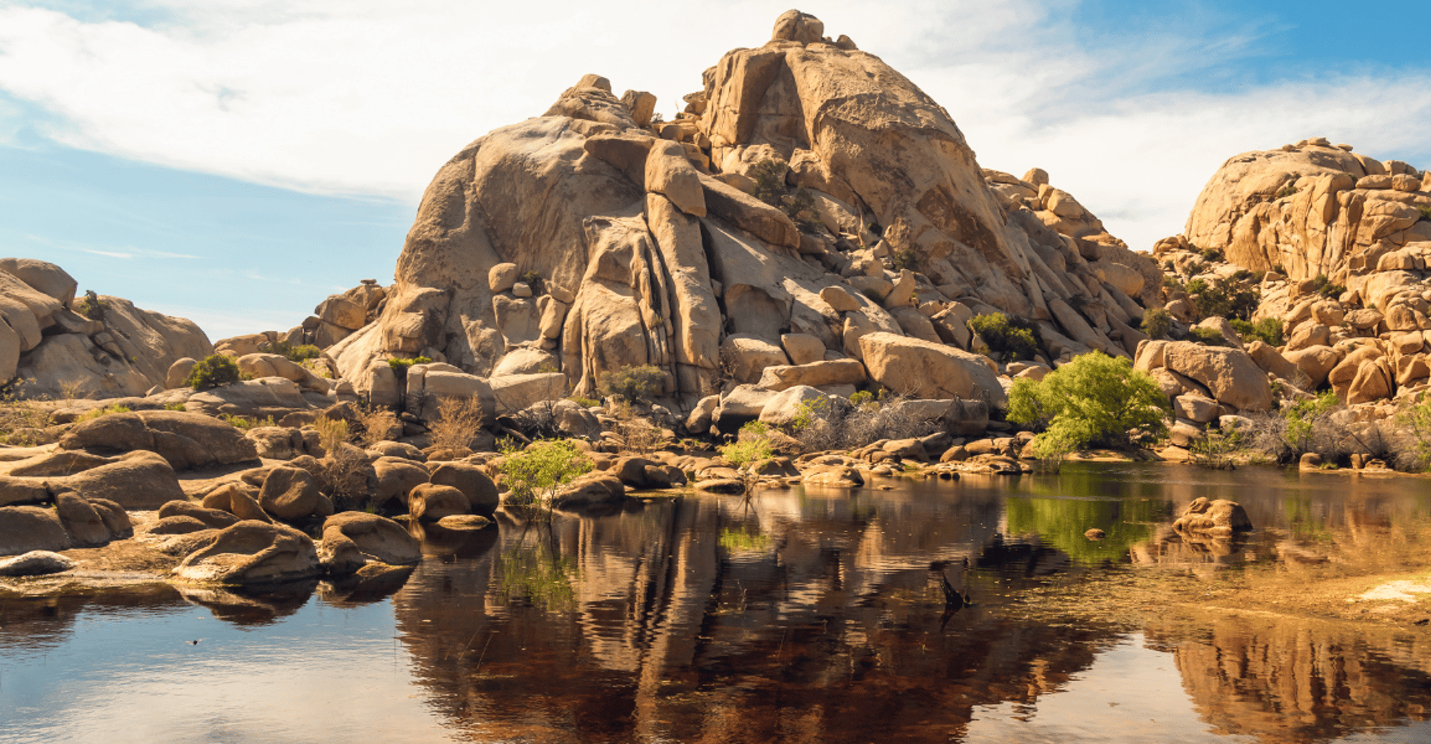 Joshua Tree National Park, Self-Guided Driving Tour - Housity