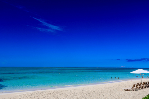 巴巴多斯：浴场至巴特谢巴步道跑/徒步之旅（含接送服务）巴巴多斯：巴斯至巴特谢巴越野跑或徒步之旅（含接送服务）