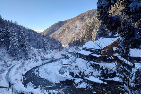 Tokyo: 5-Day Private Tour to Hiroshima with Transport