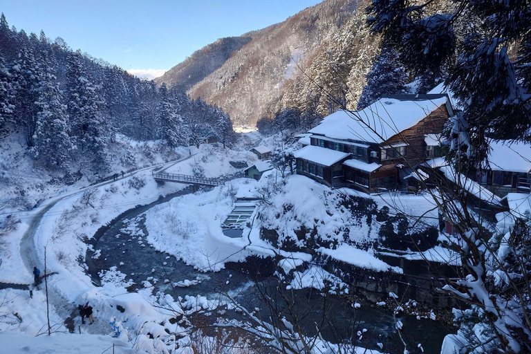 Tokyo: 5-Day Private Tour to Hiroshima with Transport