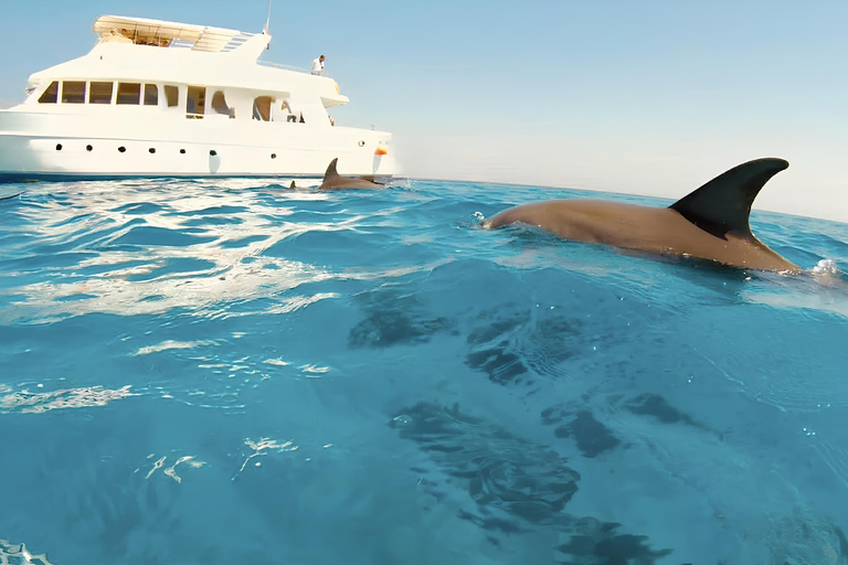 Hurgada: tour en barco de 7 horas con delfines, esnórquel y almuerzo
