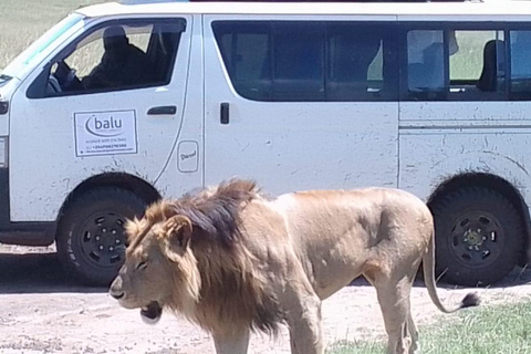 Nairobi : Safari de groupe de 3 jours dans le Masai Mara avec hébergementNairobi : 3 jours de safari en groupe dans le Masai Mara avec hébergement