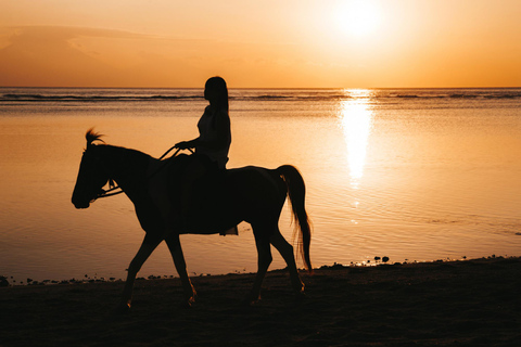 Aruba: Sunrise or Sunset Horseback Ride by the Coast
