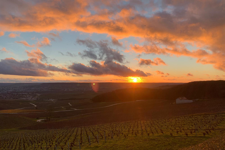 من باريس كاتدرائية ريمس وقبو الشمبانيا وتذوق الشمبانيا