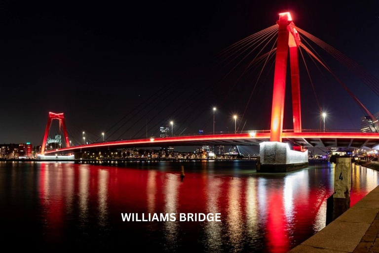 Täglicher Rundgang durch Rotterdam und Delft