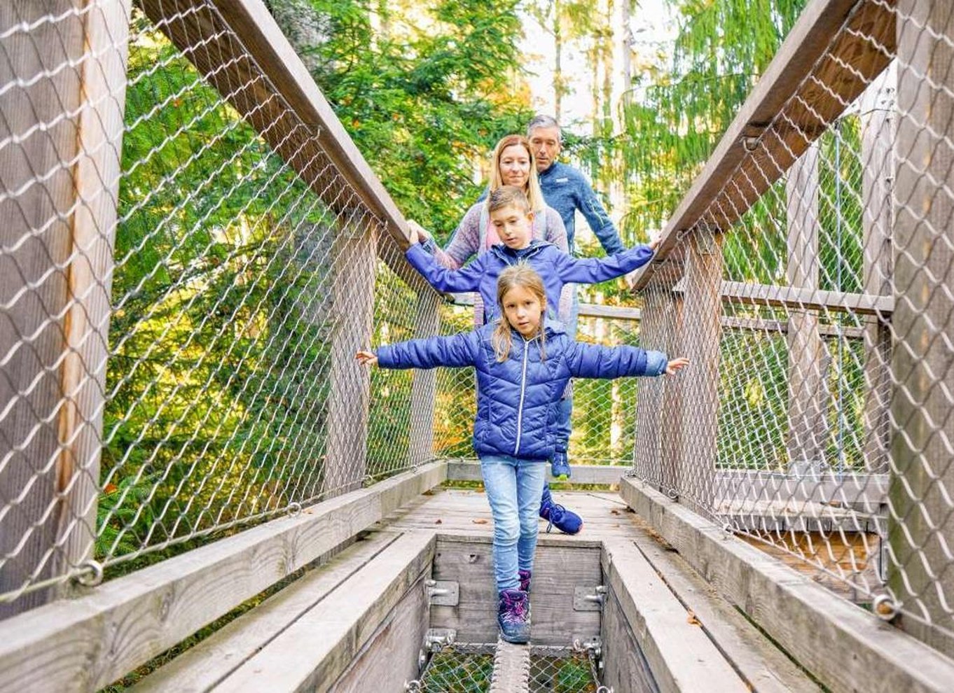 Schwarzwald: Treetop Walk & Lookout Tower Experience