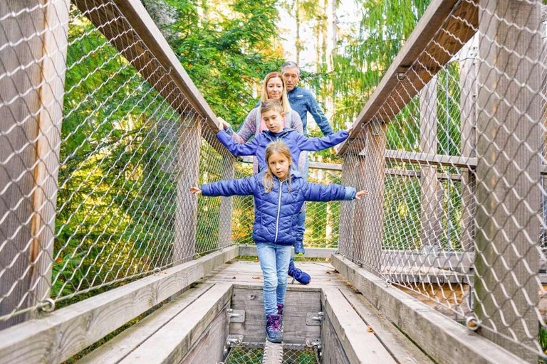 Czarny Las: Spacer w koronach drzew i wieża widokowa