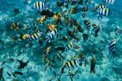 Lombok: Gili Islands Snorkeling Tour with Malimbu Hill