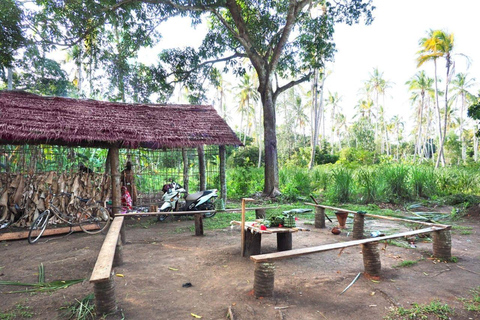 Zanzibar: Wycieczka po wiejskiej farmie z degustacją przyprawZanzibar: Wycieczka po farmie Village Green z degustacją przypraw