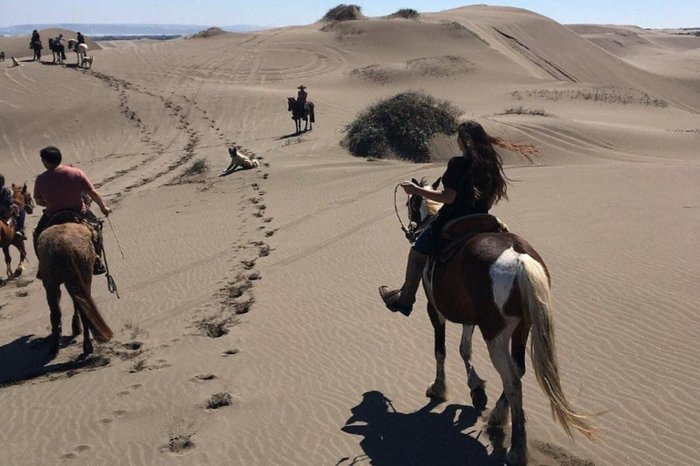 Santiago : balade à cheval, dunes de sable avec transfert et barbecue en optionSantiago : Balade à cheval, dunes de sable avec transfert et barbecue en option
