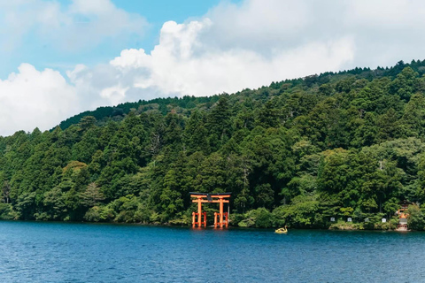 Tokyo: Mt. Fuji & Hakone One-Day Private Customizable Tour