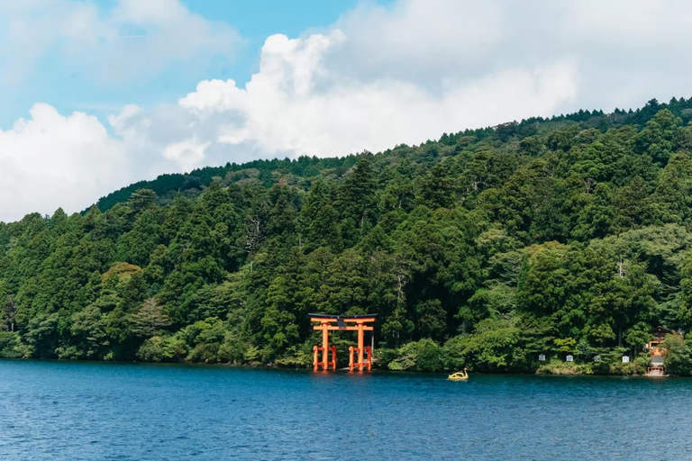 Tokyo: Mt. Fuji & Hakone One-Day Private Customizable Tour