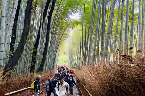Kyoto Private Day Tour with Luxury Vehicle & English Guide