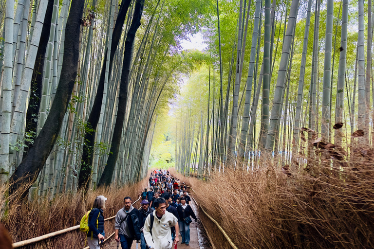 Kyoto Private Day Tour with Luxury Vehicle & English Guide
