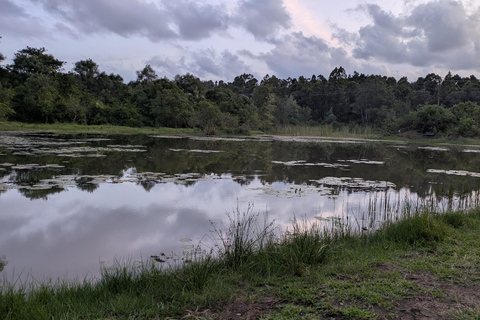 Karura Forest walking tour with nature and waterfalls.