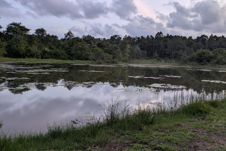 Karura Forest walking tour with nature and waterfalls.