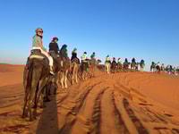 Marrakech naar FES 3 Days Sahara Tour via Merzouga Desert - Housity