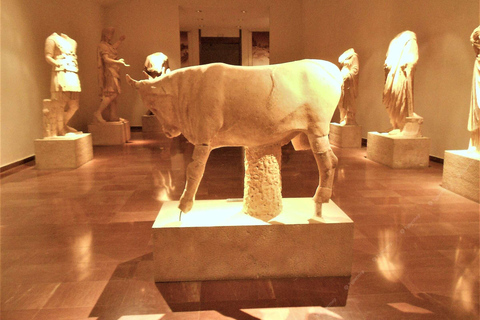 Explore Ancient Olympia with a professional guide
