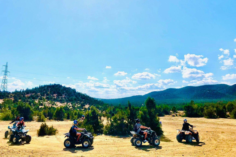 Hammamet: Tour guidato in quad sulle colline di Hammamet