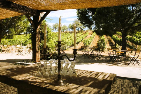 Wine Tour by minibus: Picnic Day and Wines around Perpignan Privatization